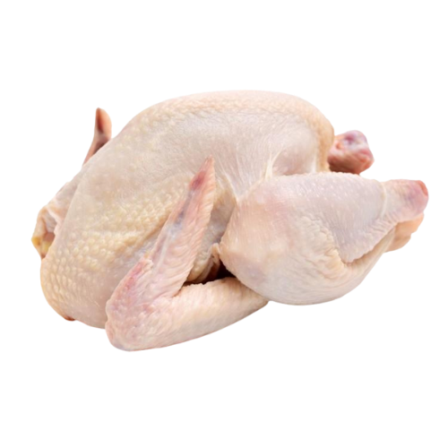 Regular Whole Chicken